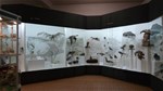Интинский краеведческий музей